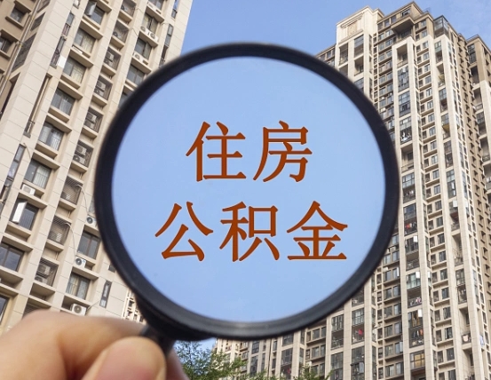 招远退休后查不到公积金明细了吗（退休后公积金查询不到原因）